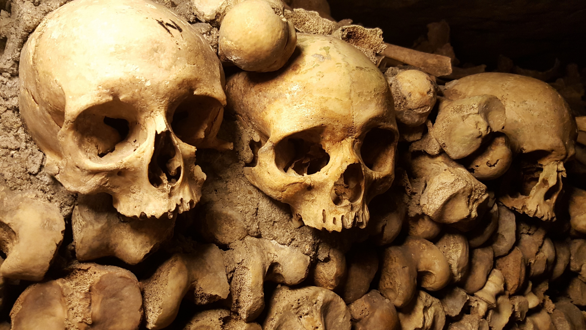 Skulls lining the walls of the catacombs