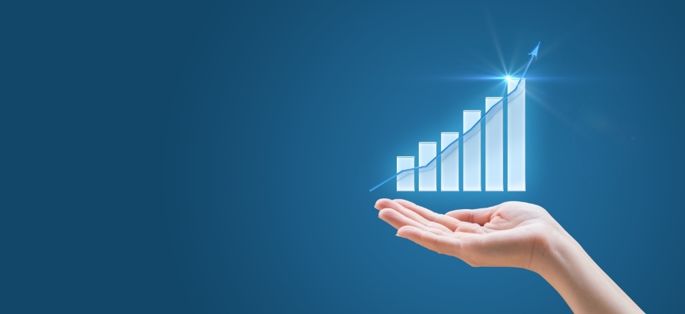 The different levels of the French DELF/DALF exams