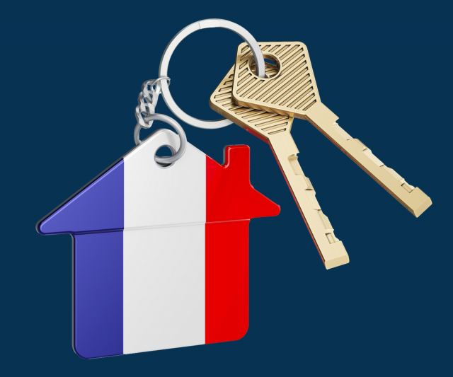 Moving to france summary