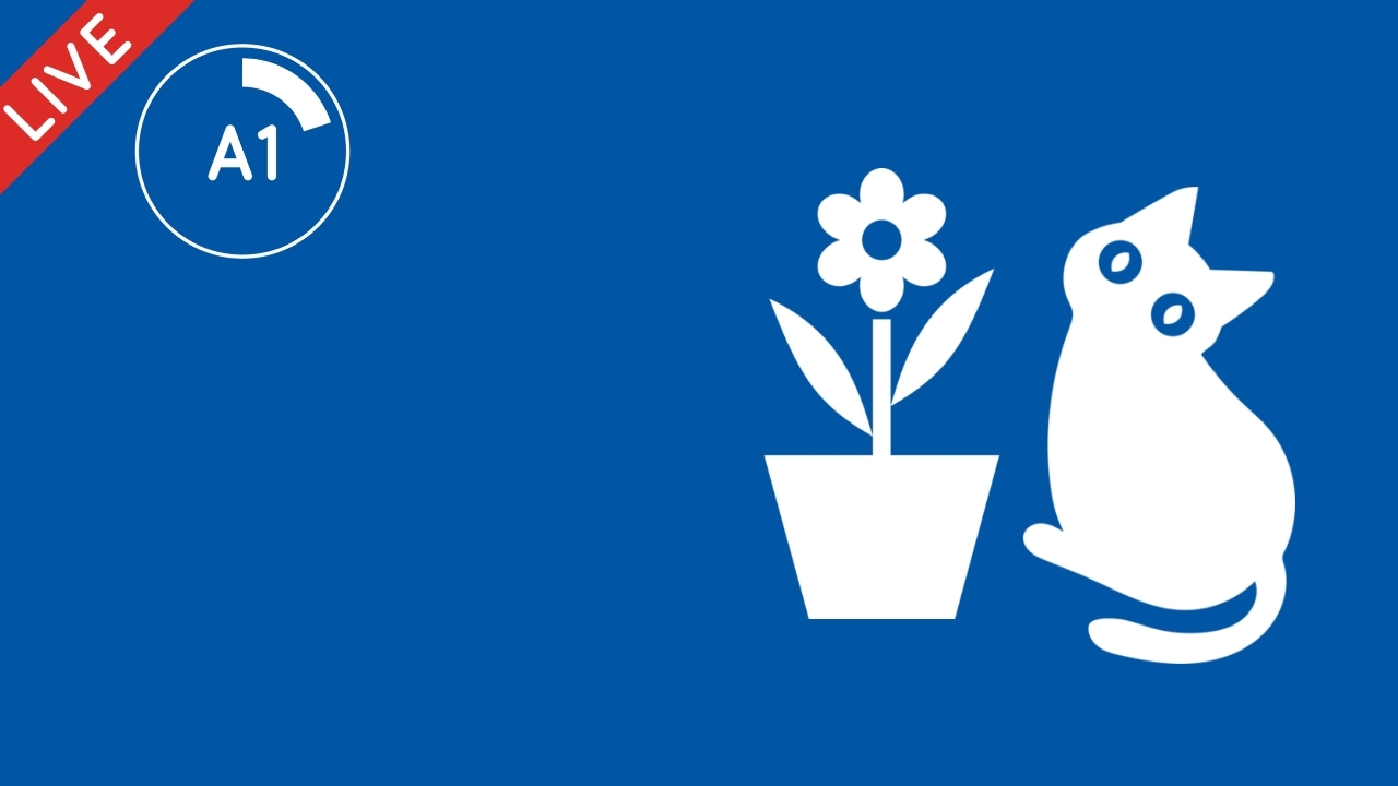 Indefinite vs definite articles