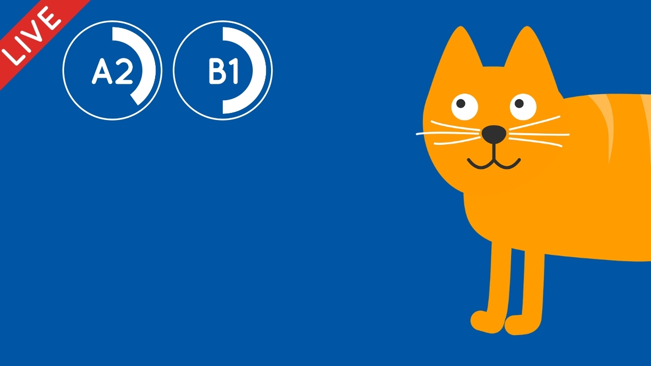 Les animaux domestiques en France