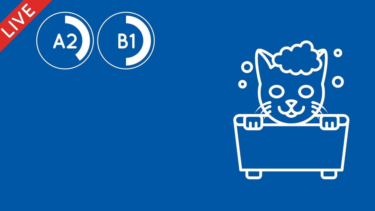 Passé composé et verbes pronominaux