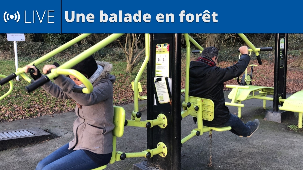 Une balade en forêt