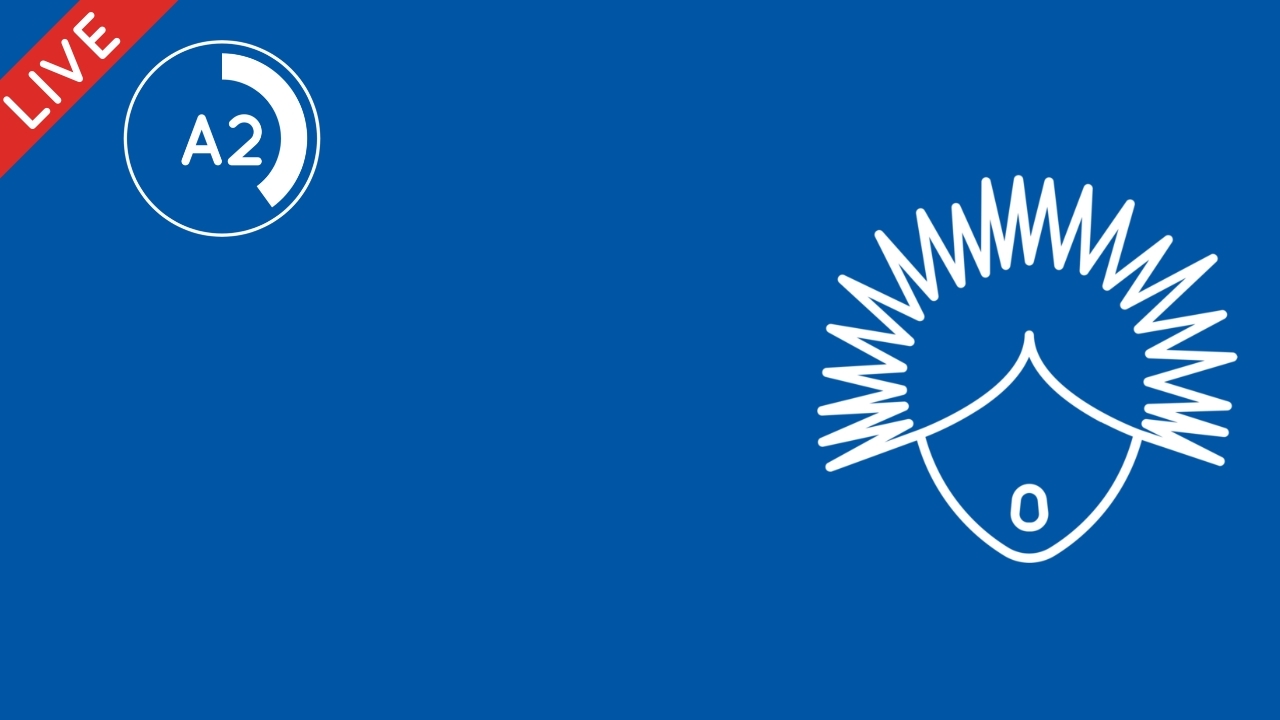 Negation in Passé Composé