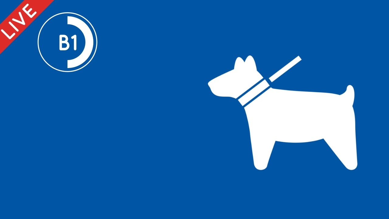 Pronoms d'objets directs