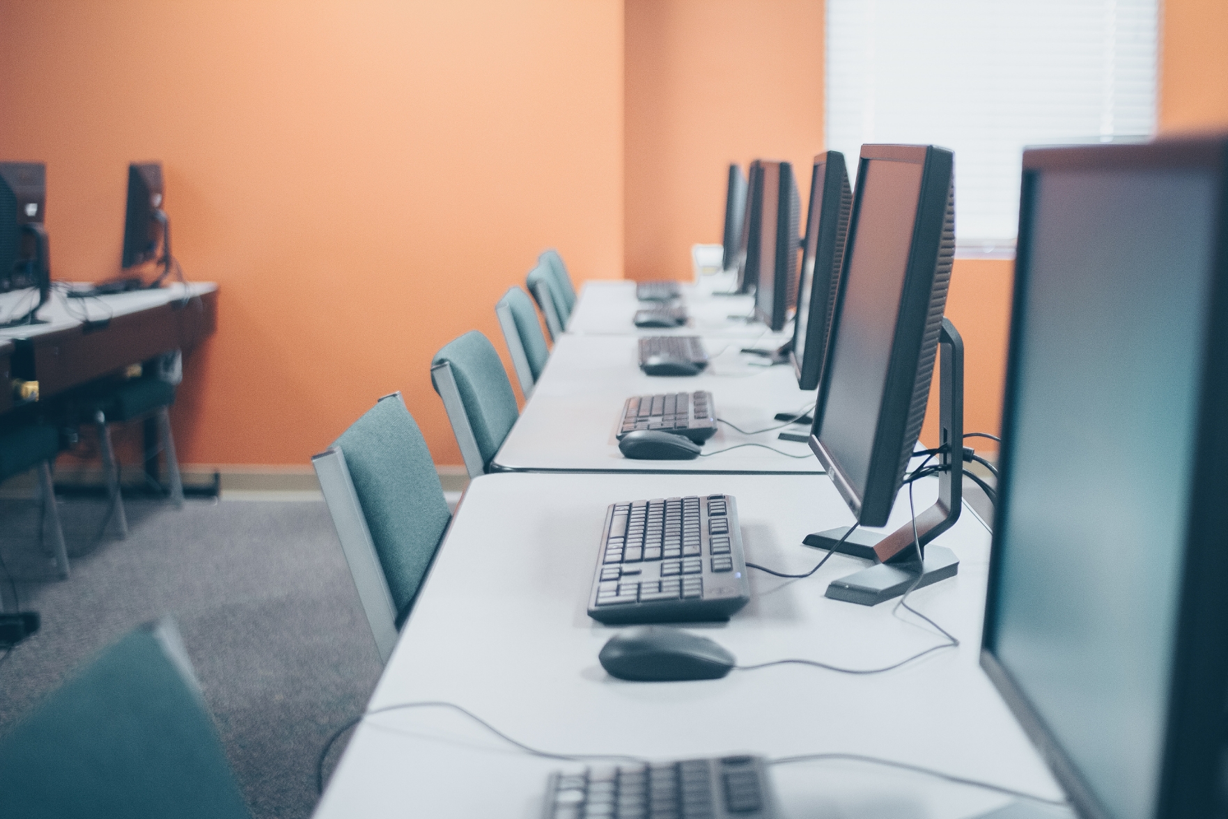 A row of computer screens