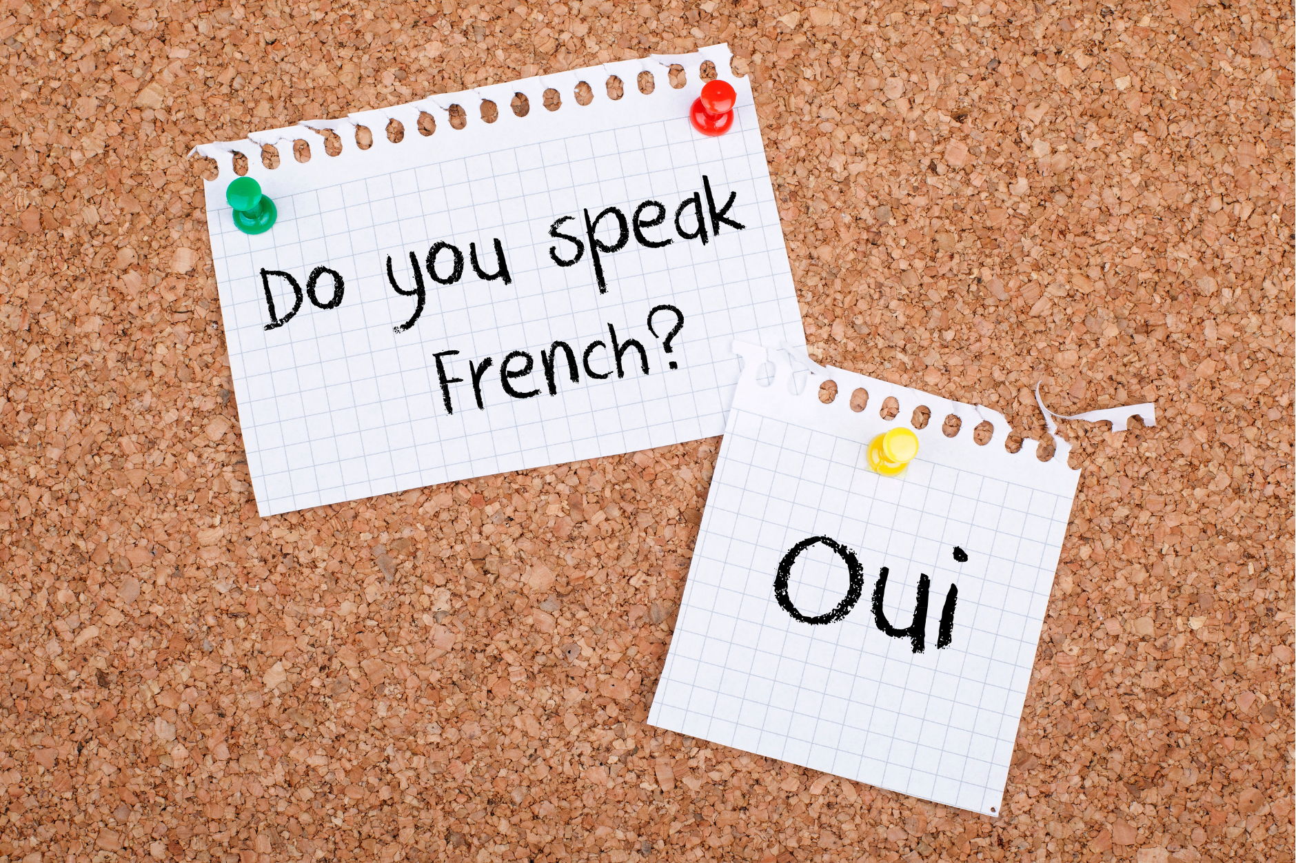 Scraps of paper reading 'Do you speak French?' and 'Oui'