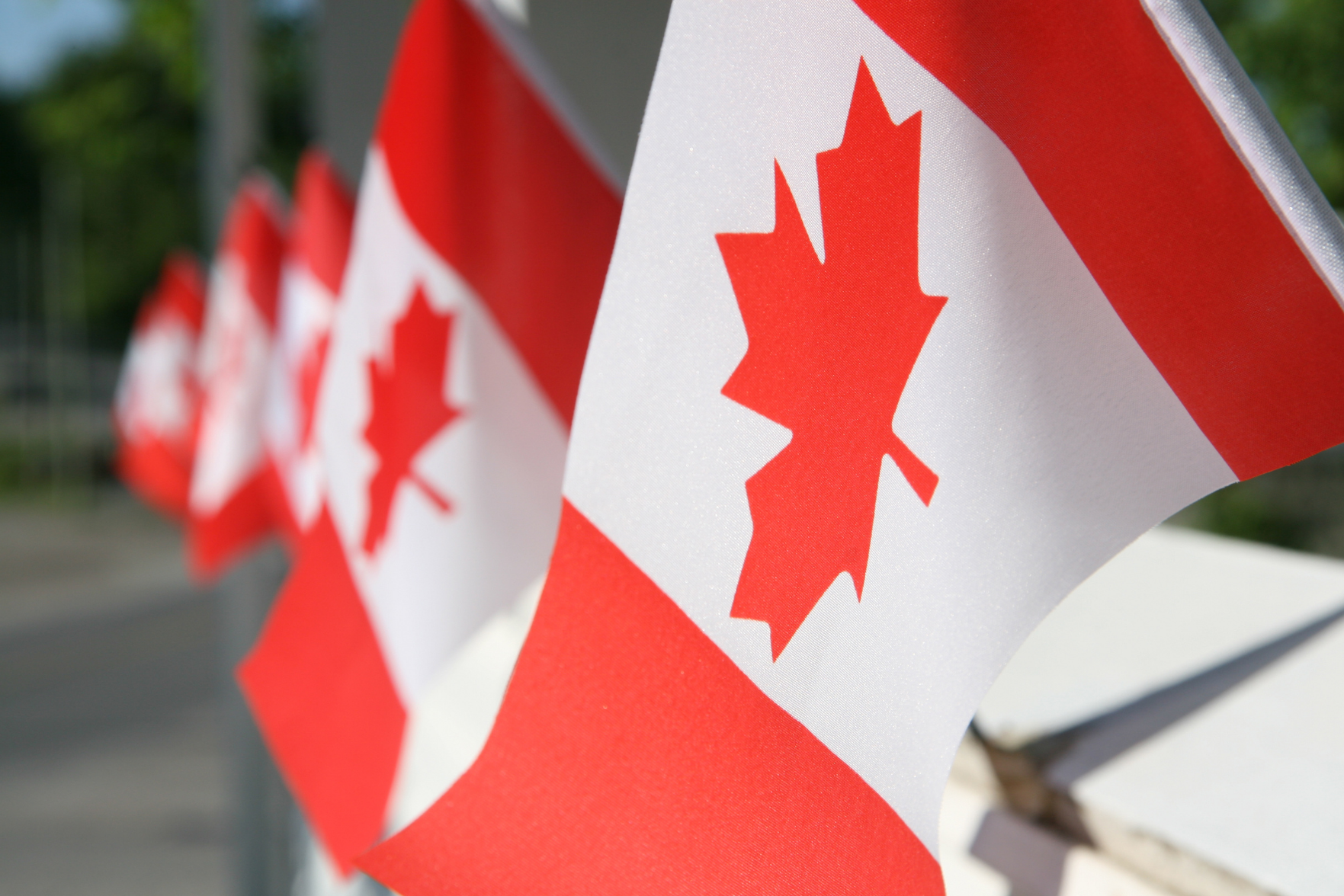 Canadian flags
