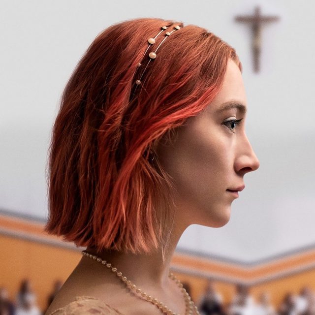 Ladybird Summary Image