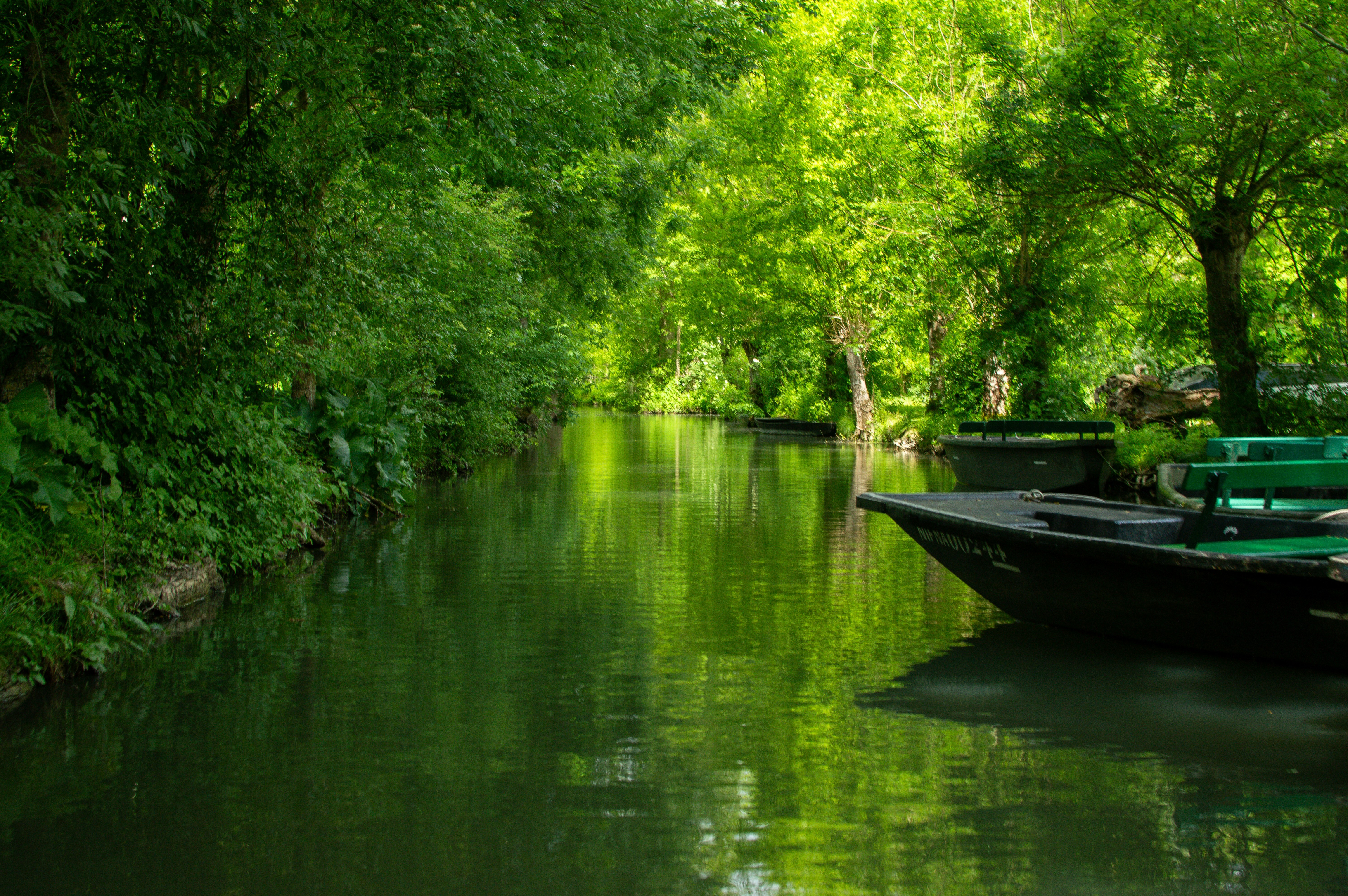 Marais Poitevin
