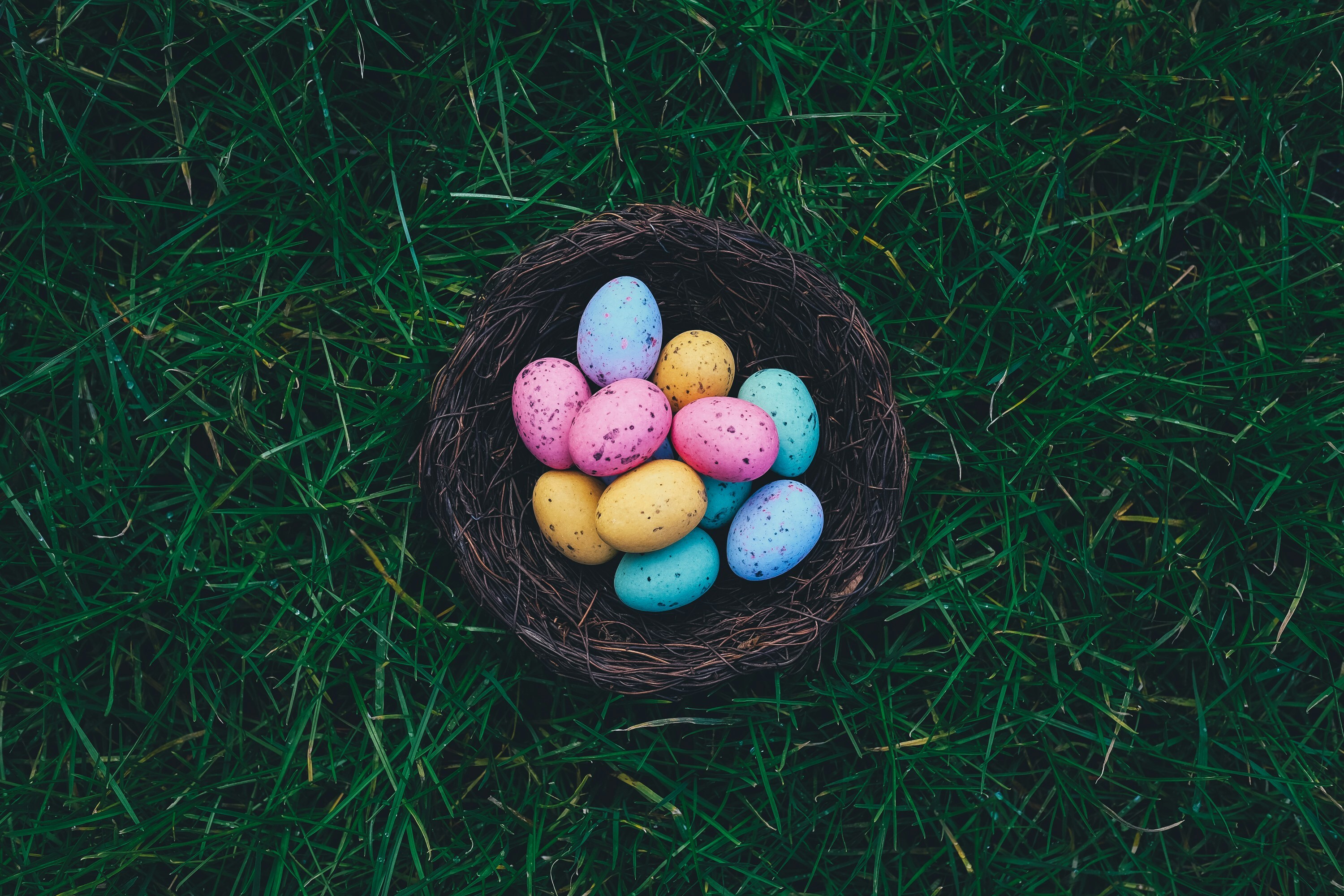 A basket of Easter eggs on grass