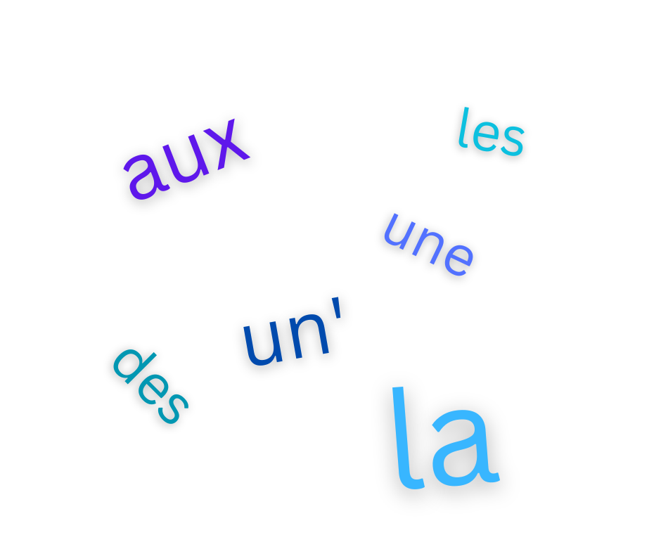 List of French articles