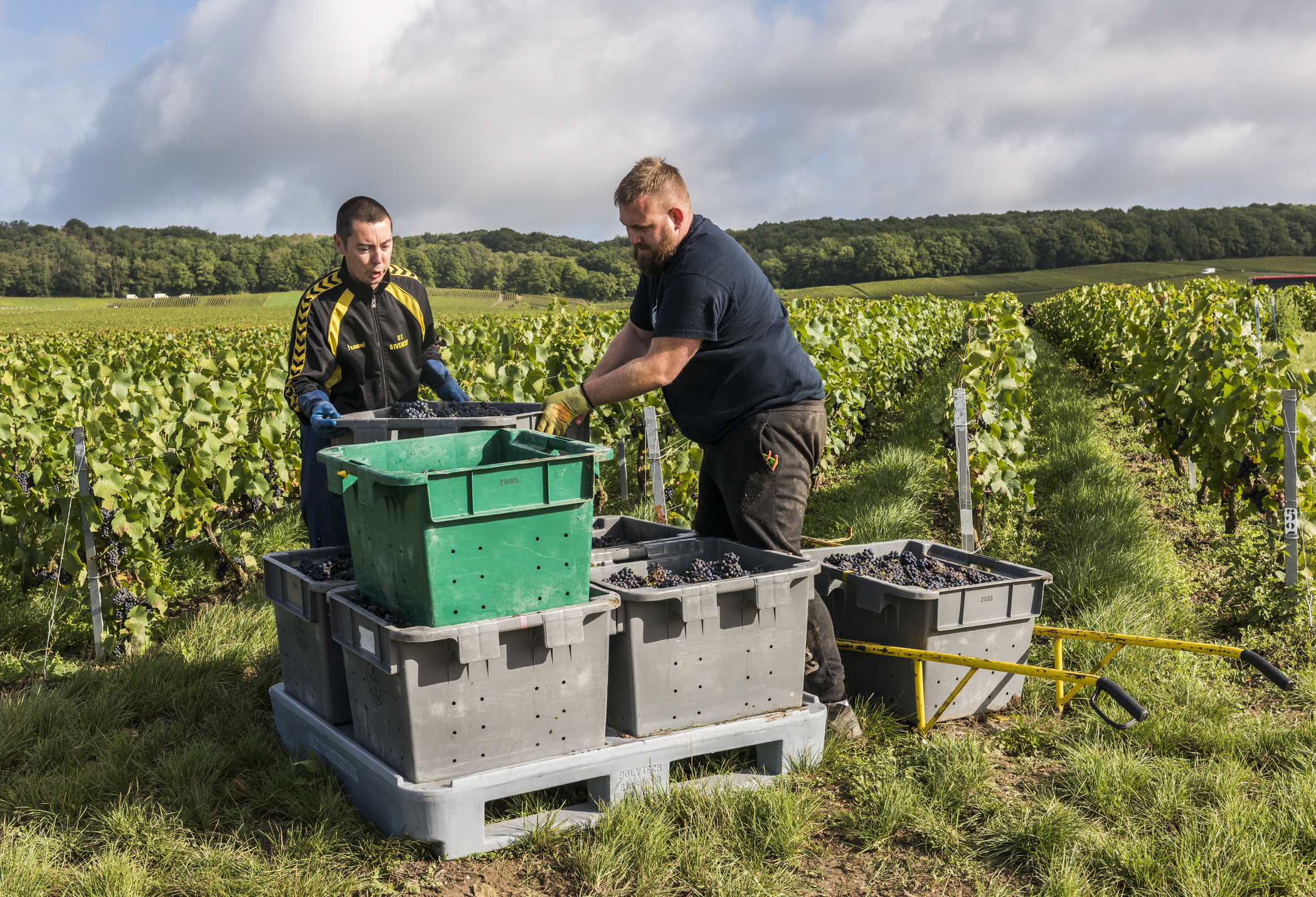 Dreamstime m 108723774