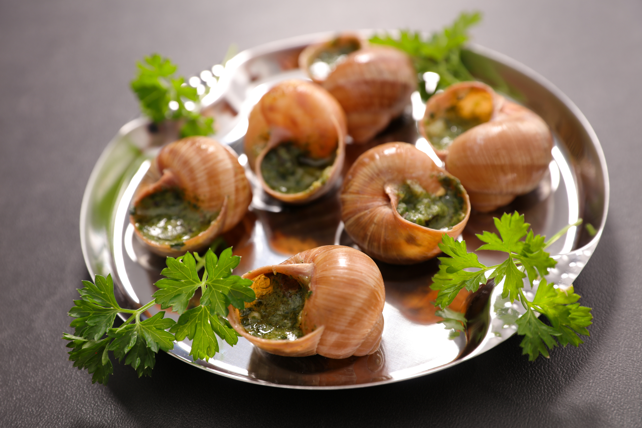 Snails