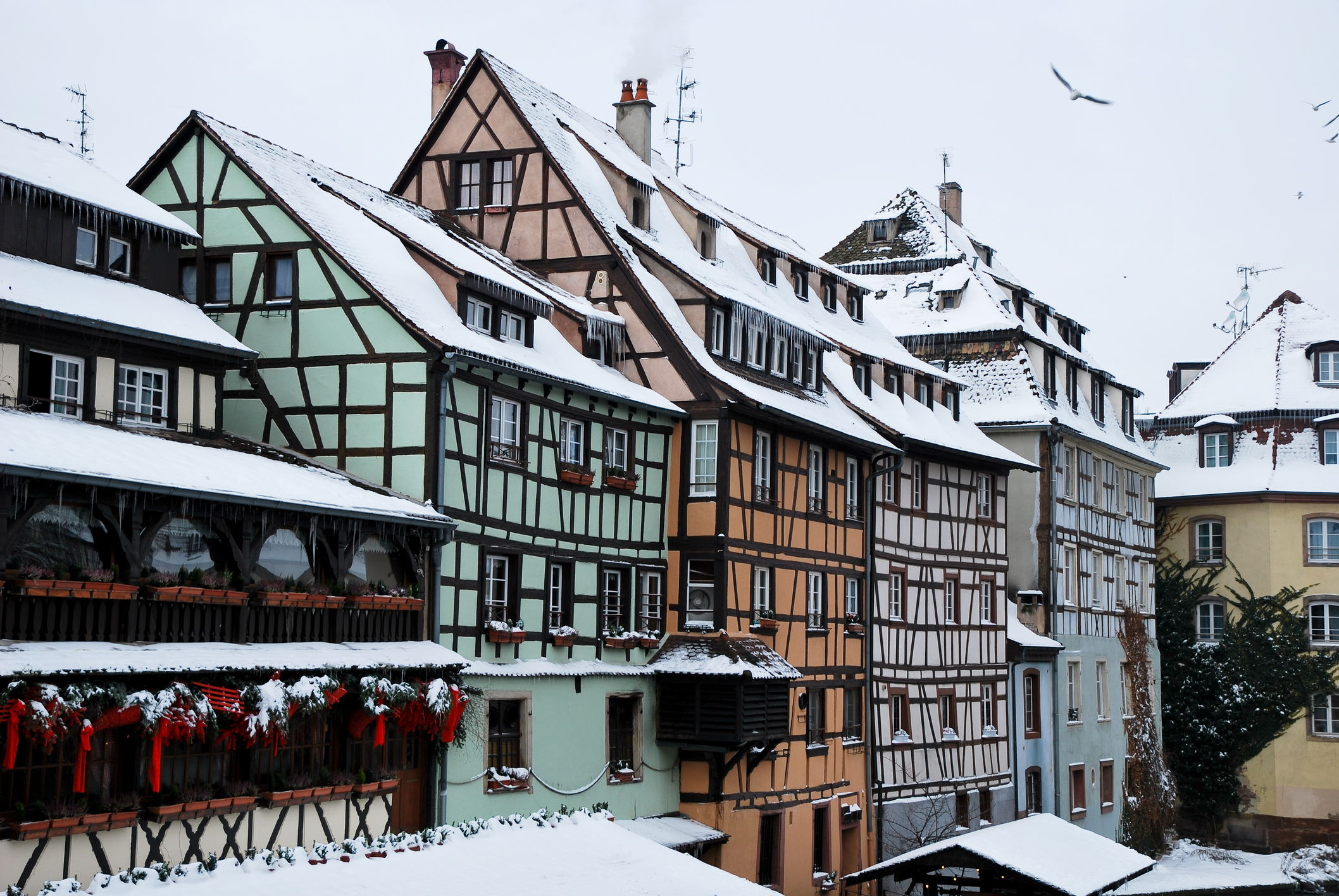 Strasbourg in the snow