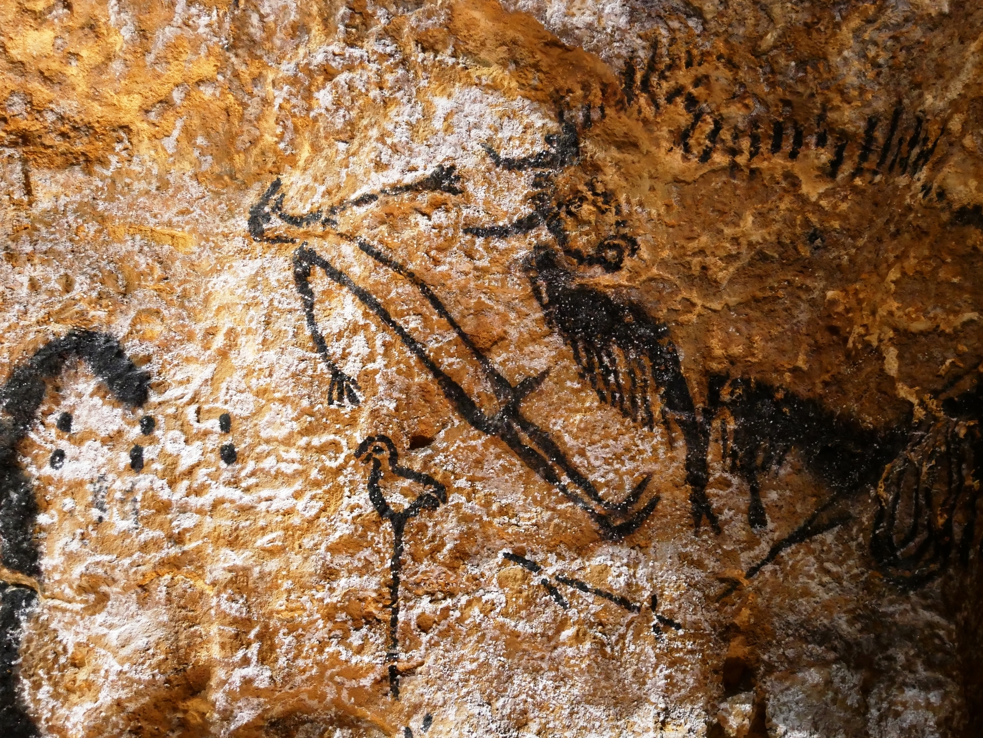 Cave painting of a man with the head of a bird