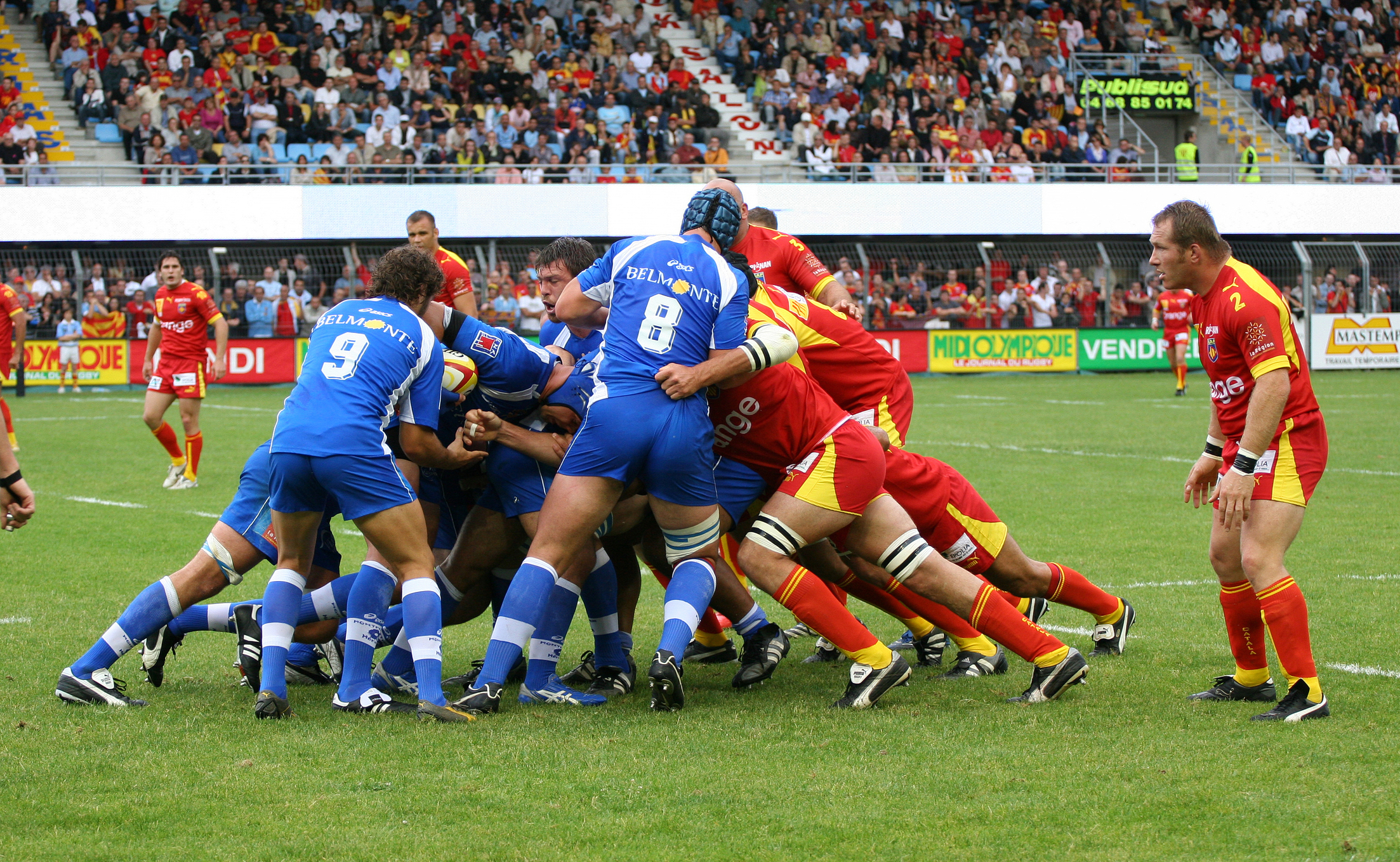 Dreamstime m 6840994