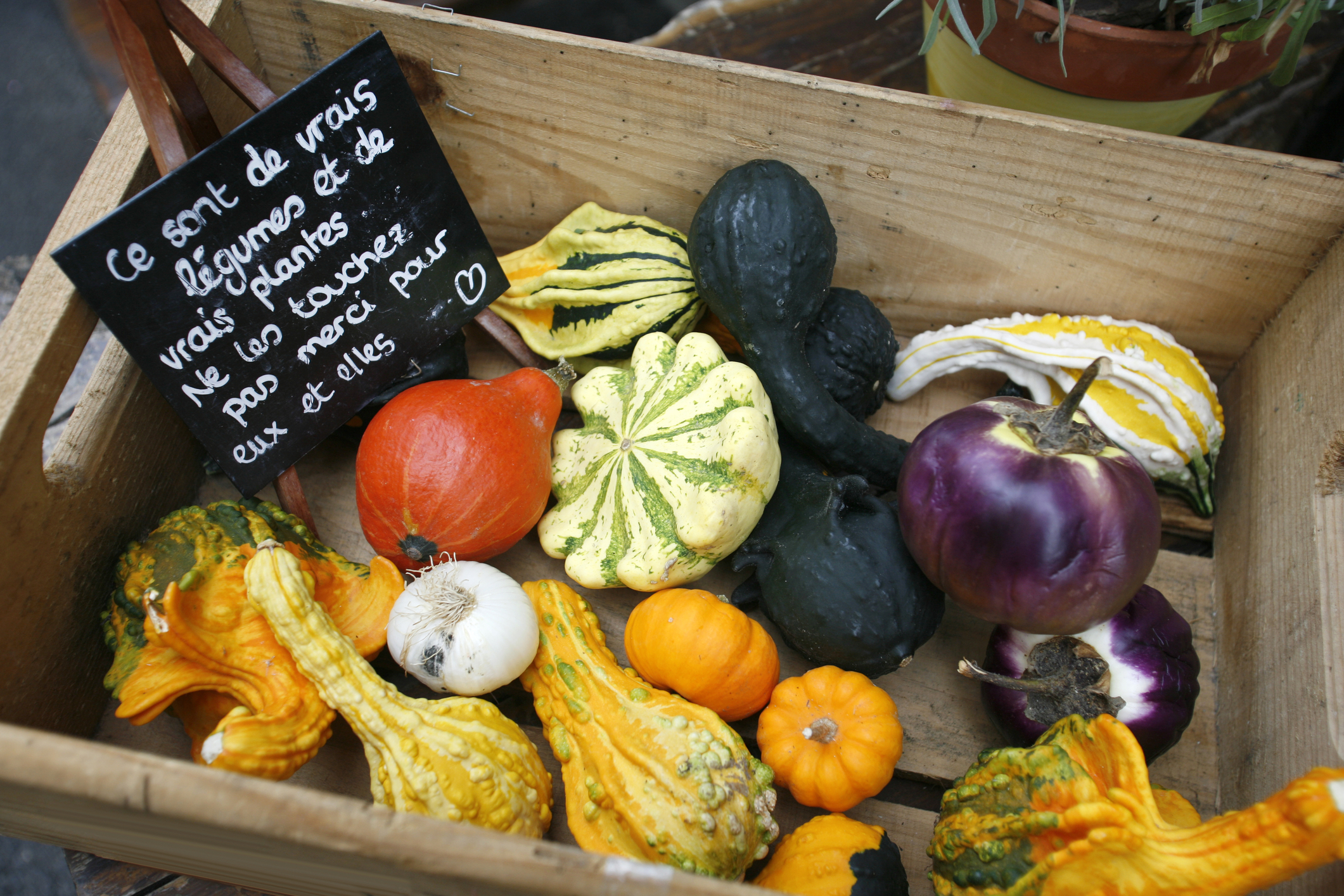 Dreamstime m 6922880