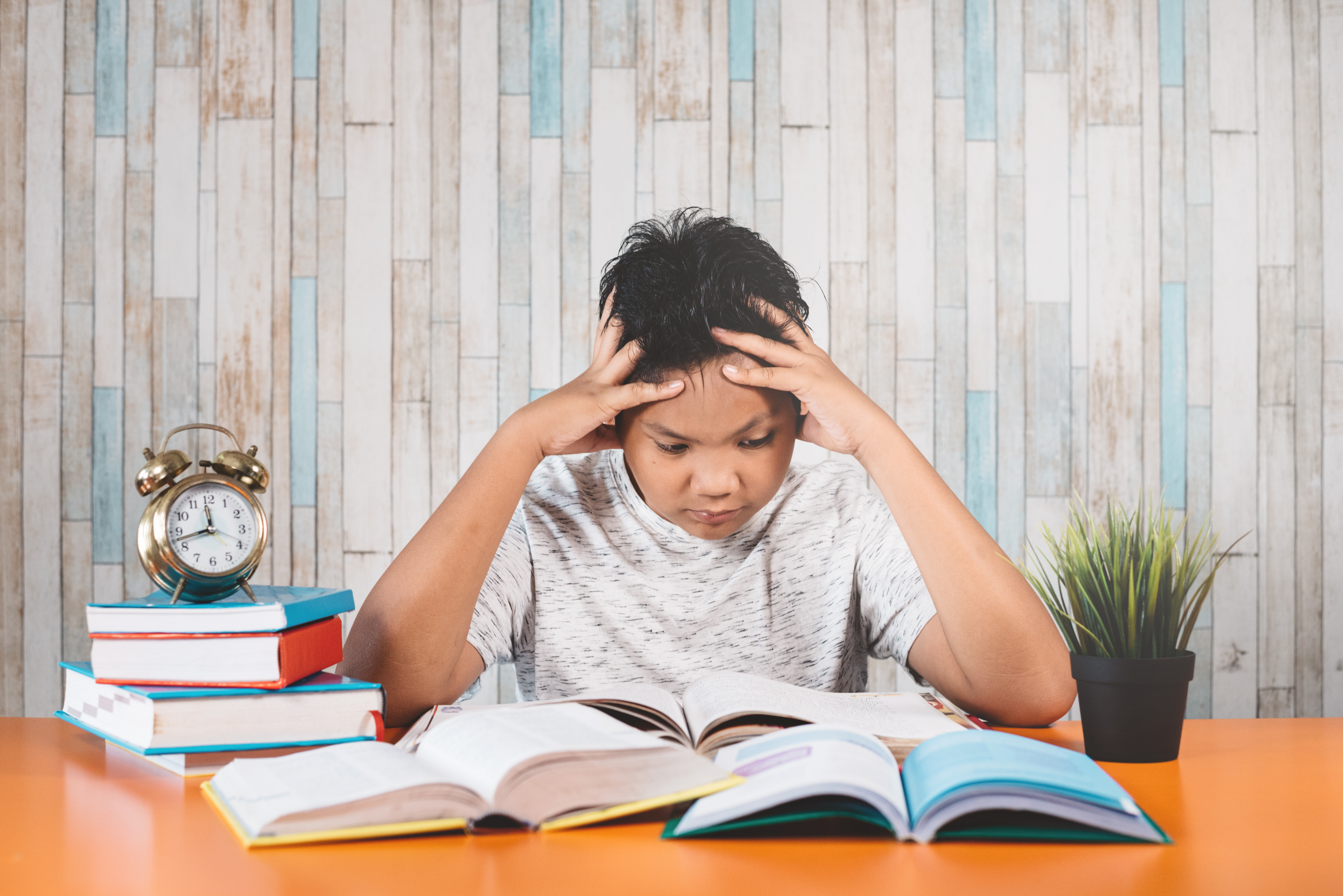 Dreamstime xxl 160538615