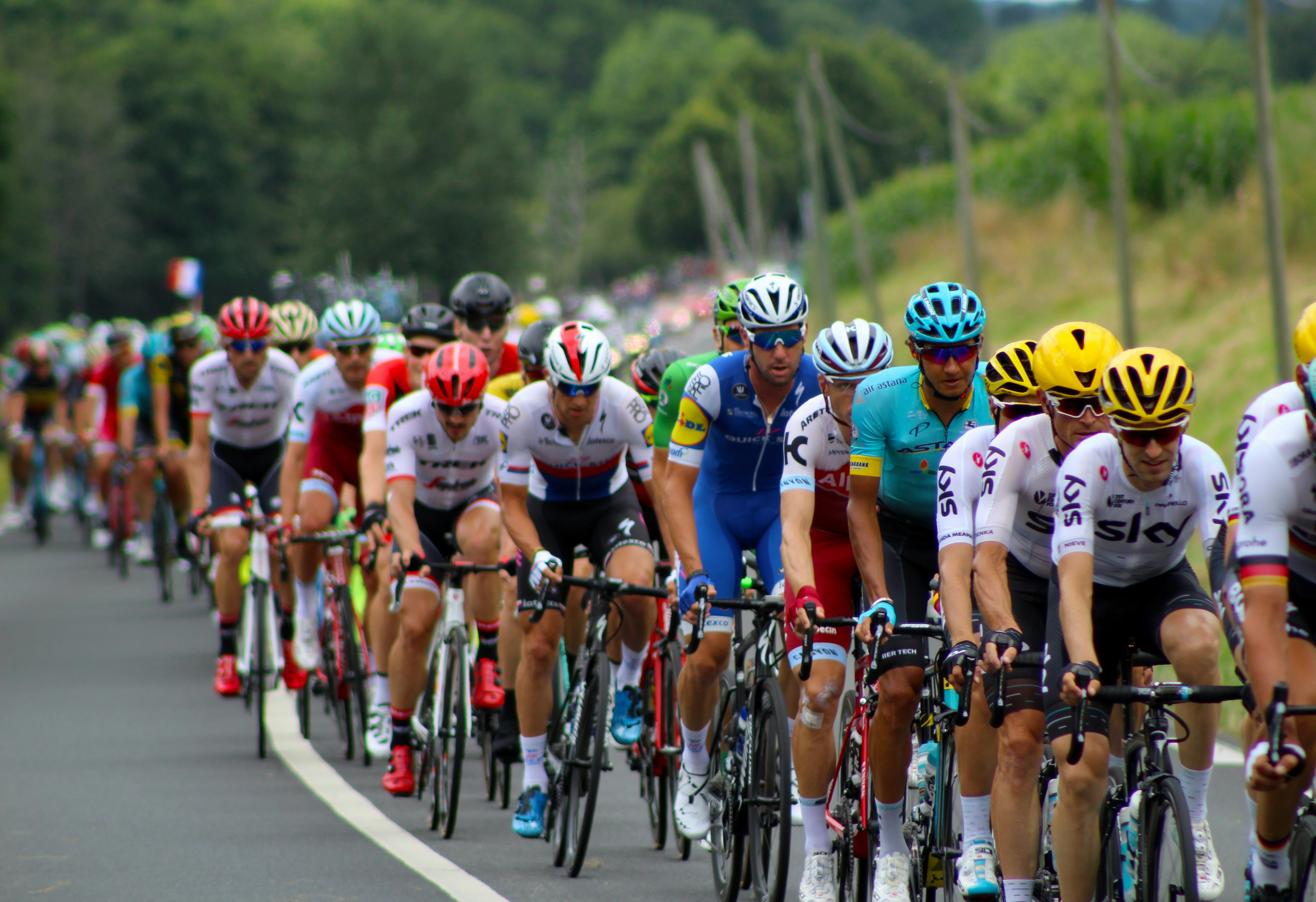 Cyclists during the Tour de France